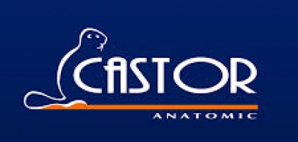 cas-anatomic